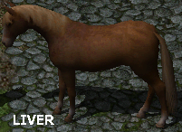 Liver Horse