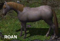 Roan Horse