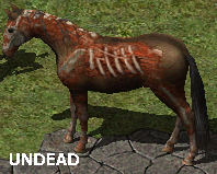 Undead Horse